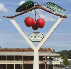 Young Cherries