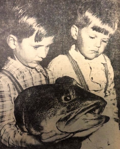 Wagga 25 and 50 Years Ago – a 52lb Murray Cod